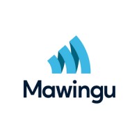 Mawingu Networks logo